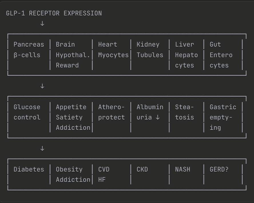 GLP-1 vs Environmental Toxin Targets